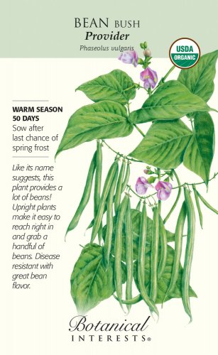 Organic Provider Bush Bean Seeds 50 grams