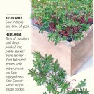 Organic Red Winter Kale Baby Greens Seeds 6 grams