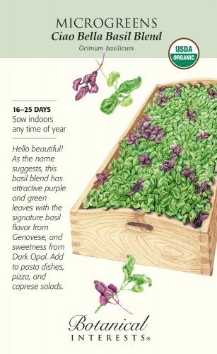 Organic Ciao Bella Basil Bland Microgreen Seeds 6 grams