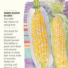 Honey and Cream Sweet Corn Seeds 28 grams