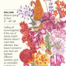 Hummingbird Haven Mix Seed 10 grams