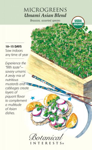 Organic Umami Asian Blend Microgreens Seeds 10 grams