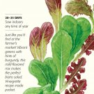 Organic Market Day Lettuce Mesclun Baby Greens Seeds 5 grams