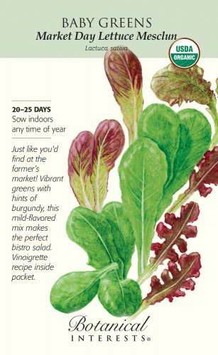 Organic Market Day Lettuce Mesclun Baby Greens Seeds 5 grams