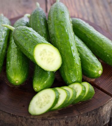 Gherking Pickler Cucumber Hybrid Pickling Cucks Vegetable Garden Planti 25 seeds