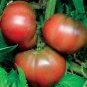 50 seeds Black From Tula Tomato Ct Vegetable Garden Heirloom Non-Gmo