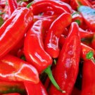 50+ seeds Red Marconi Sweet Pepper  Vegetable Garden Non-Gmo Usa