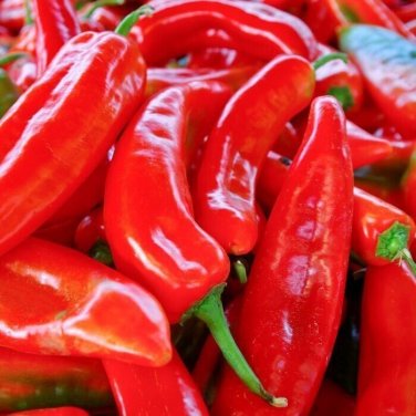 50+ seeds Red Marconi Sweet Pepper  Vegetable Garden Non-Gmo Usa