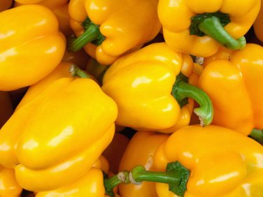 50+ seeds Golden Cal Wonder Bell Pepper  Yellow Sweet Vegetable Usa