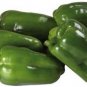 25+ seeds Cascadura Sweet Pepper  Vegetable Non-Gmo Heirloom Usa