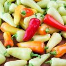 25+ seeds Sante Fe Grande Hot Pepper  Vegetable Non-Gmo Heirloom