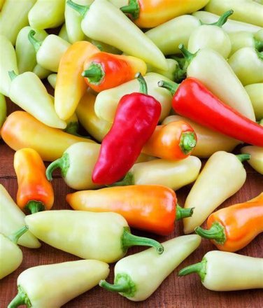 25+ seeds Sante Fe Grande Hot Pepper  Vegetable Non-Gmo Heirloom