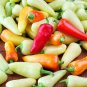 25+ seeds Sante Fe Grande Hot Pepper  Vegetable Non-Gmo Heirloom