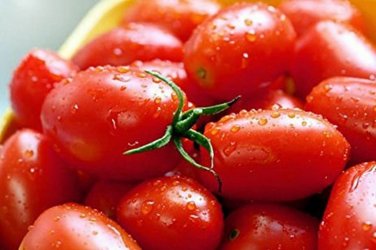 100 seeds Crovarese Italian Grape Tomato Ct Vegetable Heirloom Usa