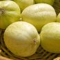 15+ seeds Crystal Apple Cucumber  Vegetable Garden Heirloom Non-Gmo