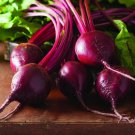 100 seeds Bull'S Blood Beet Ct Vegetable Garden Non-Gmo Usa Seller