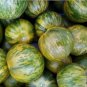 30 seeds Green Zebra Tomato Ct Vegetable Garden Heirloom Non-Gmo