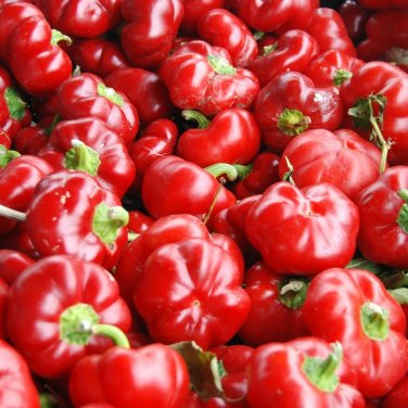 25+ seeds Sweet Pimento L Pepper  Mild Bell Vegetable Garden Annual