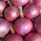200+ seeds Red Burgundy Onion  Vegetable Garden Heirloom Non-Gmo