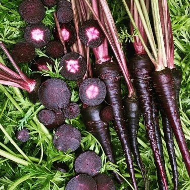 150+ seeds Black Nebula Carrot  Daucus Carota Vegetable Non-Gmo Usa