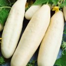 50+ seeds White Wonder Cucumber  Vegetable Garden Heirloom Non-Gmo