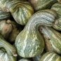 10 seeds Green Striped Cushaw Pumpkin Ct Gourd Squash Vegetable