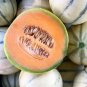 25+ seeds Charentais Cantaloupe  French Melon Fruit Usa Seller