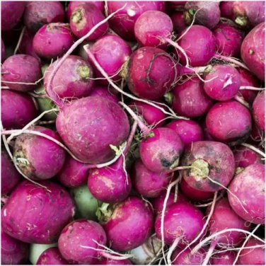 200 seeds Purple Plum Radish Ct Vegetable Garden Heirloom Non-Gmo