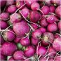 200 seeds Purple Plum Radish Ct Vegetable Garden Heirloom Non-Gmo