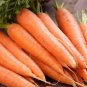 1000+ seeds Scarlet Nantes Carrot  Vegetable Garden Non-Gmo Usa