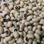 50 seeds California Blackeye Cowpea Ct Legume Bush Vegetable Garden Heirloom