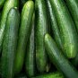 50+ seeds Marketer Cucumber  Vegetable Garden Heirloom Non-Gmo Us