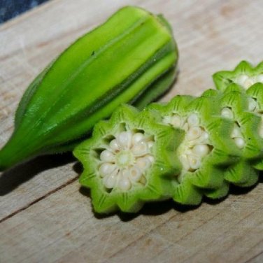 25 seeds Okra Star Of David"" Old Fashioned Big Okra Vegetable Heirloom