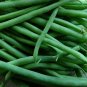 50 seeds Jade Bean Ct Green Bush Pod Vegetable Garden Heirloom Us Seller