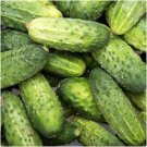50+ seeds Smr58 Cucumber  Wisconsin Pickling Vegetable Non-Gmo