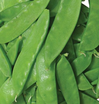 25 seeds Oregon Sugar Pod Ii Pea Ct Snow Pod Vegetable Garden Usa Heirloom