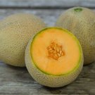 50+ seeds Cantaloupe  Muskmelon Fruit Non-Gmo Usa  Planters Jumbo
