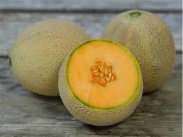 50+ seeds Cantaloupe  Muskmelon Fruit Non-Gmo Usa  Planters Jumbo