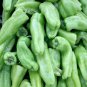 50+ seeds Cubanelle Pepper  Sweet Vegetable Non-Gmo Usa Seller