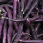 50 seeds Royal Burgundy Bean Ct Purple Bush Vegetable Heirloom Usa