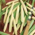 25 seeds Corn Japanese Hulless White Popcorn Vegetable Non-Gmo
