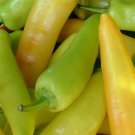 50+ seeds Hungarian Hot Wax Pepper  Hot Vegetable Non-Gmo Us Seller