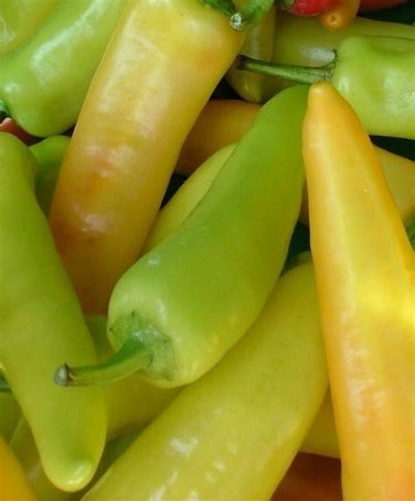50+ seeds Hungarian Hot Wax Pepper  Hot Vegetable Non-Gmo Us Seller