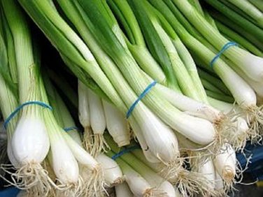200+ seeds Onion Tokyo Long White  Bunching Scallion Vegetable Usa