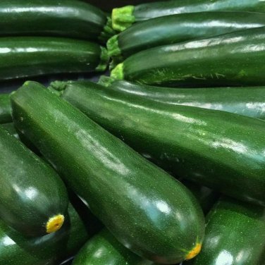 25 seeds Squash Black Beauty Zucchini Ct Summer Vegetable Non-Gmo