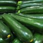 25 seeds Squash Black Beauty Zucchini Ct Summer Vegetable Non-Gmo