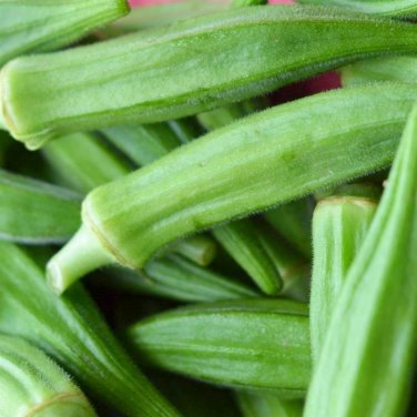 30 seeds Okra Perkins Long Pod Ct Vegetable Non-Gmo Heirloom Usa