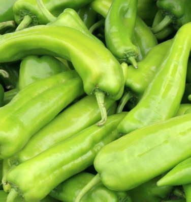 100+ seeds Anaheim Chile Pepper  Vegetable Non-Gmo Heirloom Usa