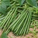 50 seeds Topcrop Green Bean Ct Bush Snap Vegetable Garden Heirloom Non-Gmo Usa