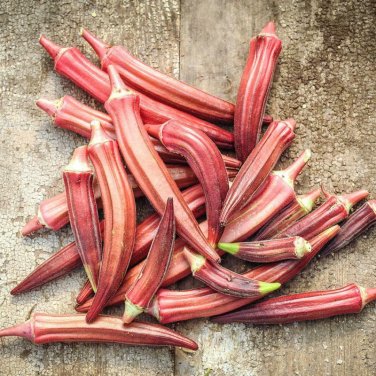 30 seeds Okra Ct Asian Vegetable Non-Gmo Heirloom Usa  Jing Orange
